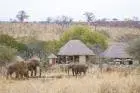 Nimali Tarangire Lodge